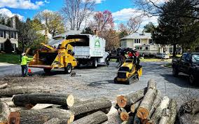 Best Sod Installation  in Georgetown, DE